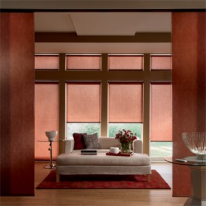 Sliding Panels provide coordinated coverings for wide windows, patio doors or room dividers using Roller, Solar, Roman or Natural Shade materials. Sliding Panels are a modern and functional way to create a harmony of style in any space.